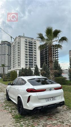 بي ام دبليو X6